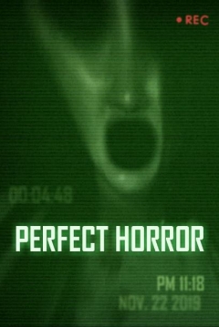 Poster Perfect Horror