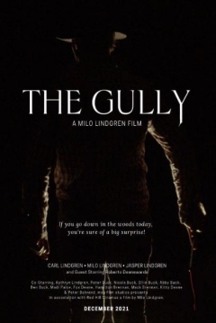 Poster The Gully