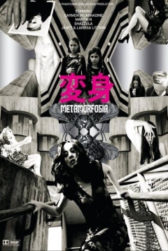 Poster Metamorfosia