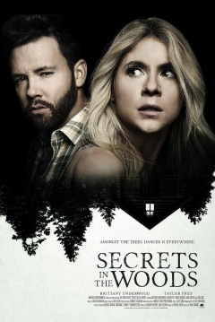 Poster Secrets in the Woods