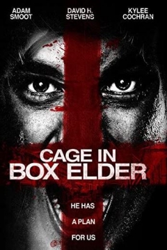 Poster Cage in Box Elder
