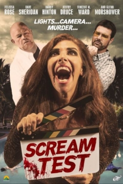 Poster Scream Test