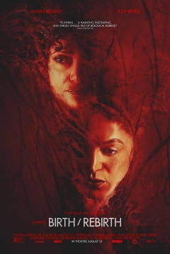 Póster de Birth/Rebirth