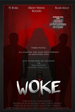 Poster Woke