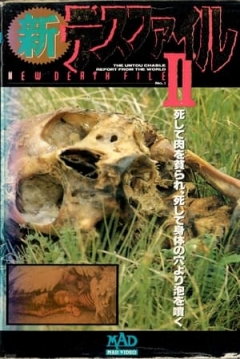 Poster New Death File II
