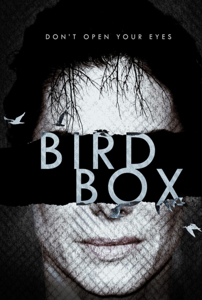 Ficha Bird Box 3