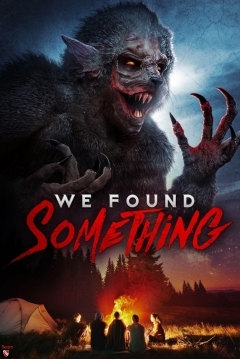 Poster We Found something