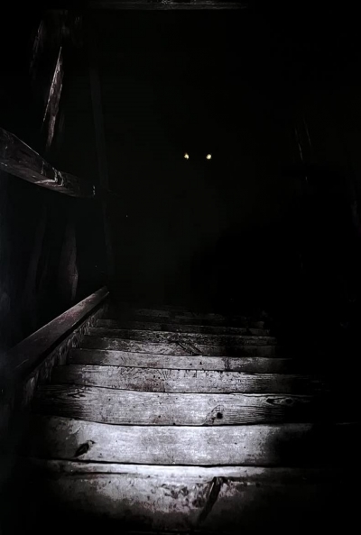 Poster The Boogeyman 2