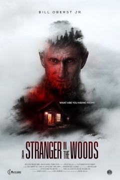 Poster A stranger in the woods