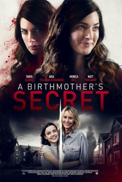 El Secreto de una Madre — póster