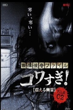 Poster Senritsu Kaiki File Kowasugi File 02: Shivering Ghost