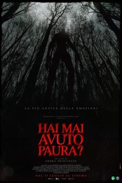 Poster Have you ever Been Afraid?
