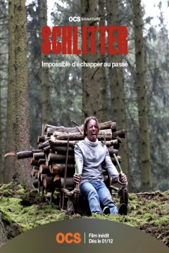Poster Schlitter: Evil in the Woods