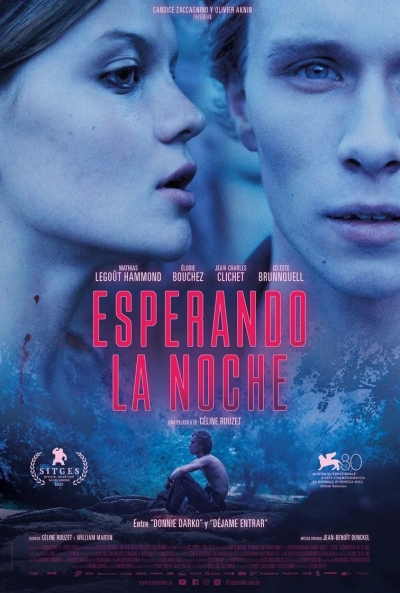 Poster Esperando la Noche