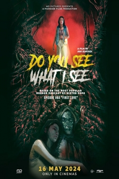 Do You See What I See — póster