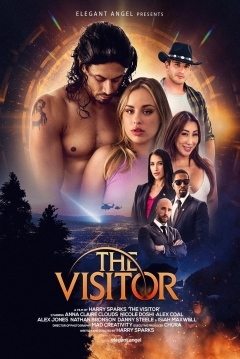 Poster The Visitor
