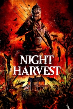 Poster Night Harvest