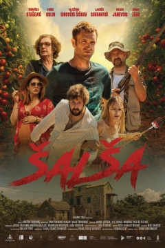 Ficha Salsa