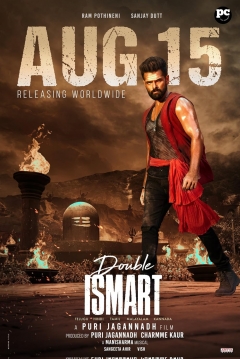 Poster Double Ismart