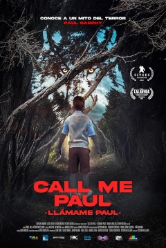 Poster Llámame Paul