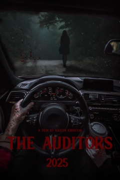 Poster The Auditors
