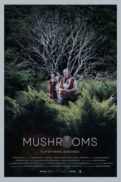 Poster Mushrooms