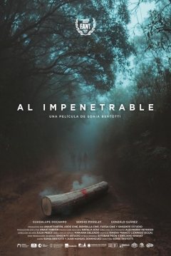 Poster Al Impenetrable
