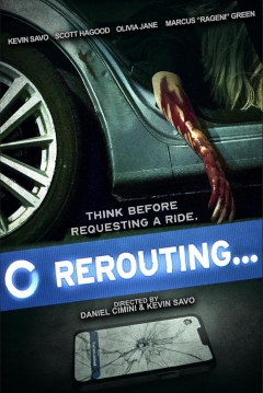 Poster Rerouting