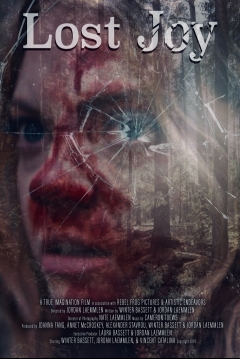Poster Lost Joy