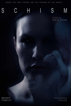 Poster Schism