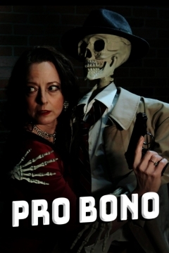 Poster Pro Bono