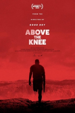 Poster Above the Knee