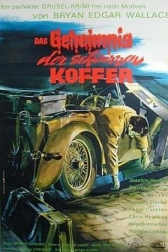 Poster El Misterio de la Maleta Negra