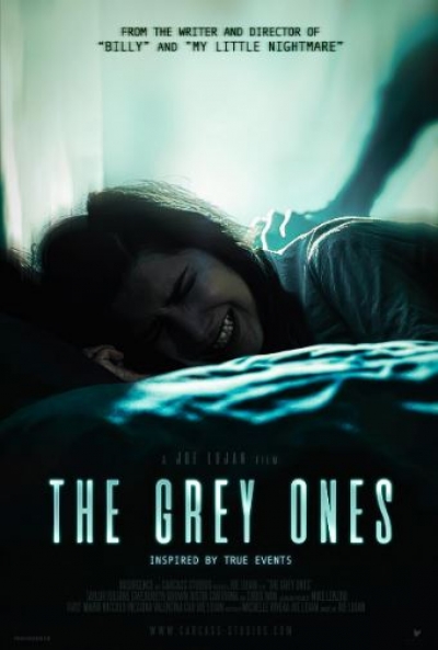 Poster The Grey ones