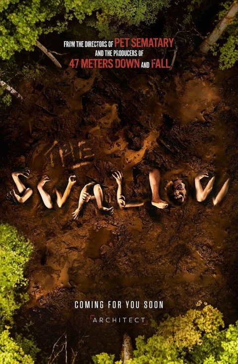 Poster The Swallow