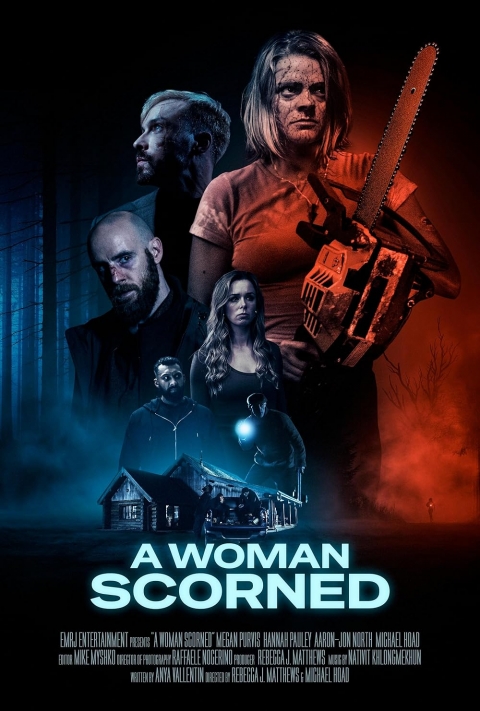 Poster A Woman Scorned