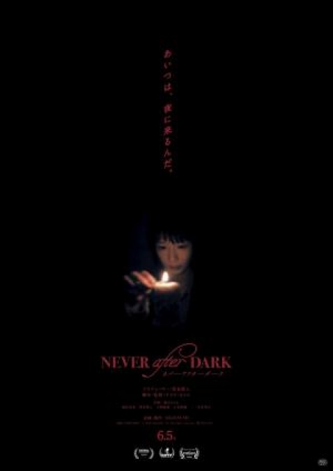 Poster Never After Dark