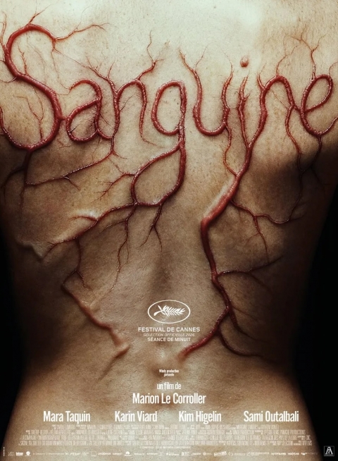 Ficha Sanguine