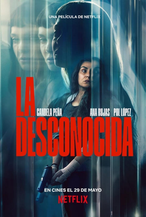 La Desconocida — póster
