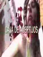 Poster Caja de acertijos