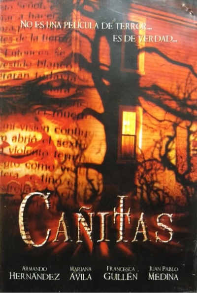 Poster Cañitas. Presencia