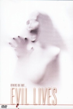 Poster Almas Gemelas