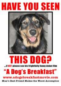 Ficha A Dog's Breakfast