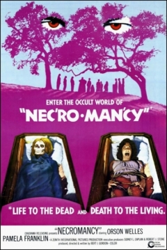 Poster El Hechicero