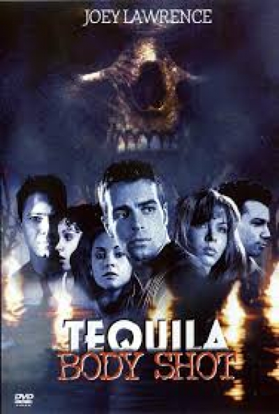 Poster Sal, Tequila y Limón