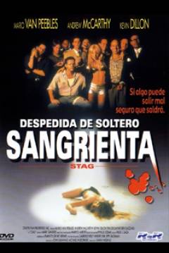 Poster Despedida de Soltero Sangrienta