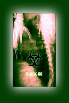 Poster Block 66