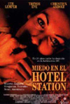 Poster Miedo en el Hotel Station