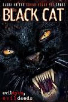 Ficha Black Cat