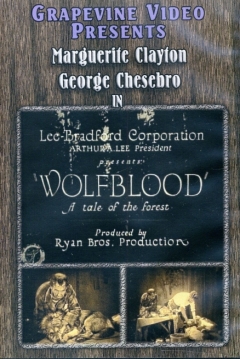 Poster Wolf Blood